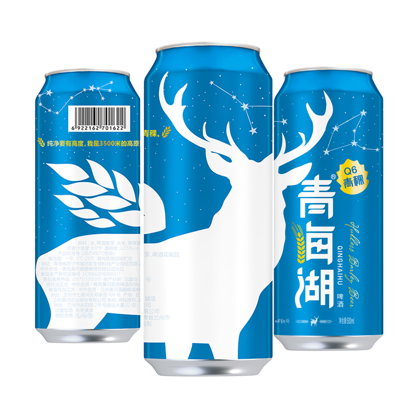 青海湖Q6